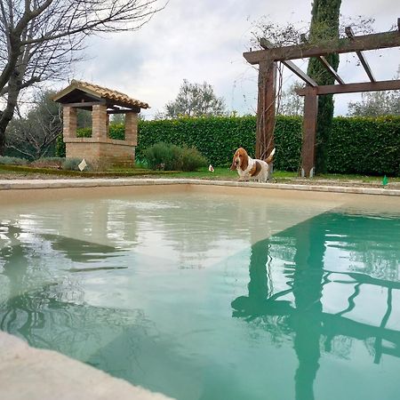 Ca' Le Cerque, Villa Surrounded By The Marche Nature フォッソンブローネ エクステリア 写真