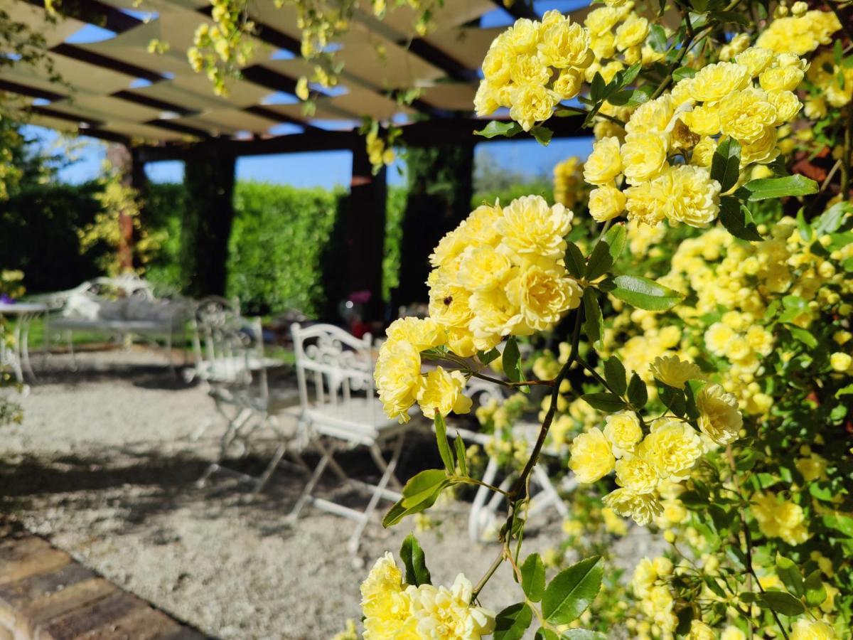 Ca' Le Cerque, Villa Surrounded By The Marche Nature フォッソンブローネ エクステリア 写真
