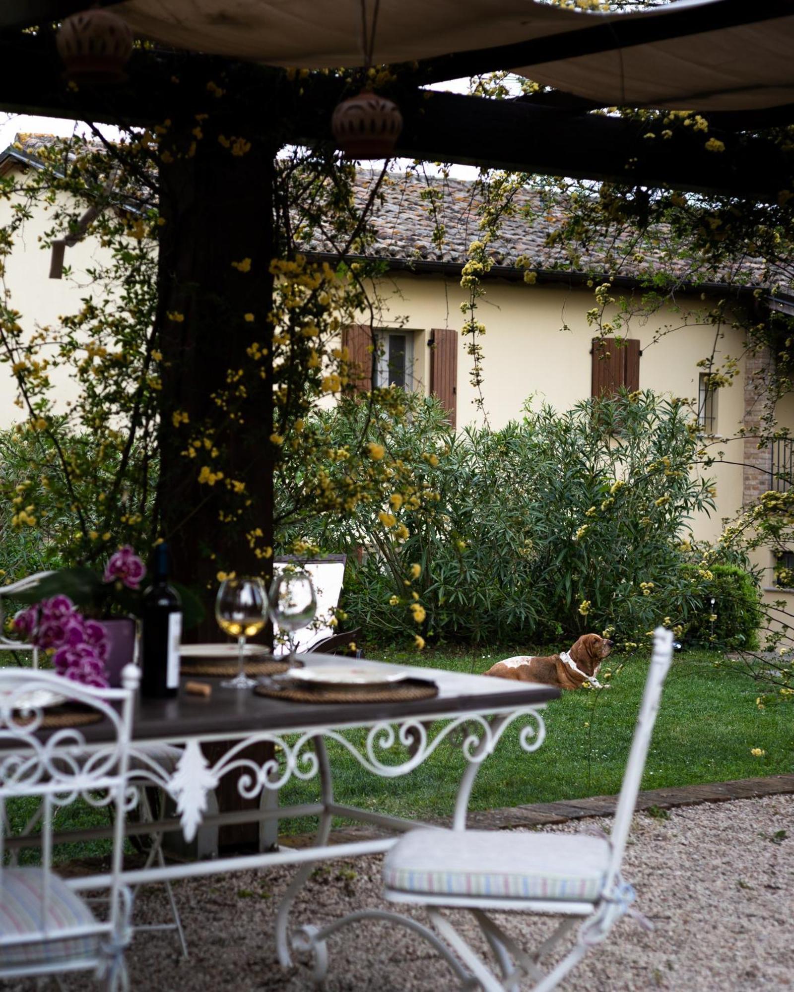 Ca' Le Cerque, Villa Surrounded By The Marche Nature フォッソンブローネ エクステリア 写真