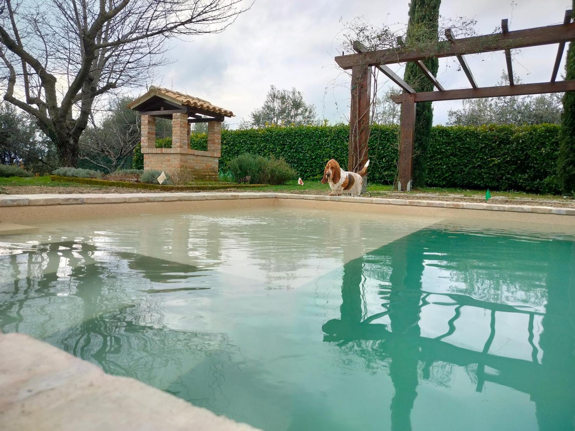Ca' Le Cerque, Villa Surrounded By The Marche Nature フォッソンブローネ エクステリア 写真